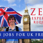 Top 15 Jobs For UK freshers |Jobs for Students in UK