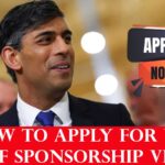 How To Apply For UK Self Sponsorship Visa?