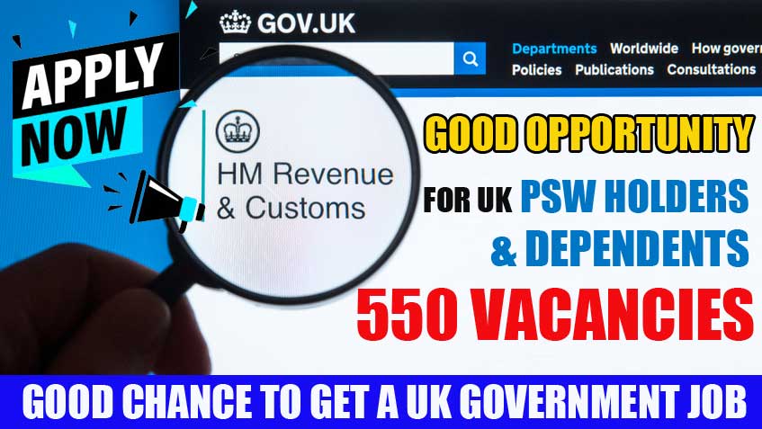 UK Government Job