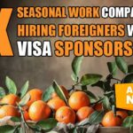 Hiring Overseas Workers With Sponsored Visas in the UK Seasonal Work Sector 2024