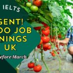 Urgent! 47,000 Job Openings in UK | No IELTS | Apply Before March ~ UK seasonal worker visa 2025