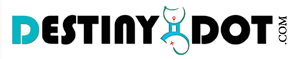 destinydot.com logo