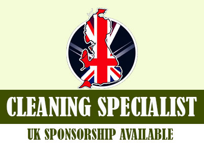 Professional Cleaning Specialist