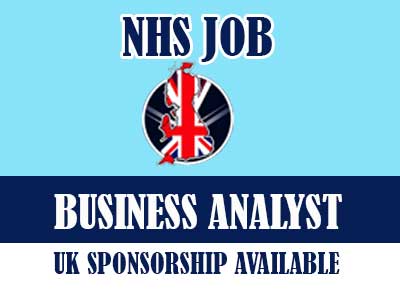 Business Analyst