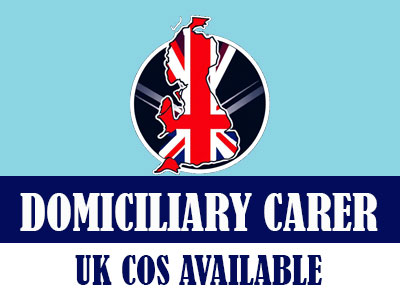 Domiciliary Carer